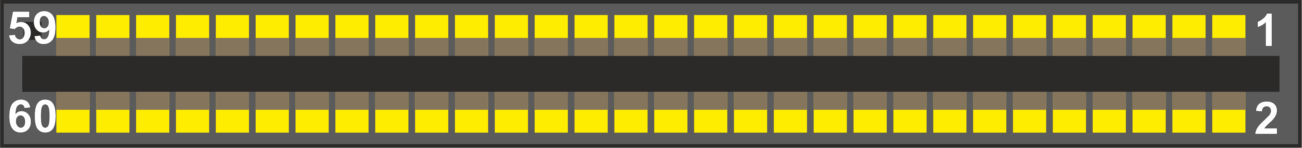 Bus - EDGE 60